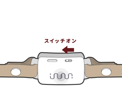 illust_pearing_c_01.png