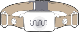 Group.png